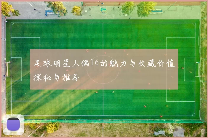 足球明星人偶16的魅力与收藏价值探秘与推荐