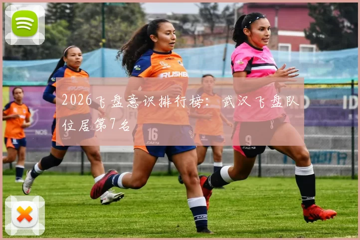 2026飞盘意识排行榜：武汉飞盘队位居第7名