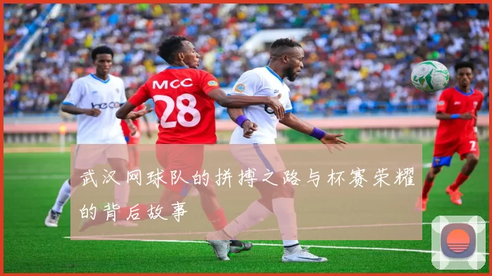 武汉网球队的拼搏之路与杯赛荣耀的背后故事