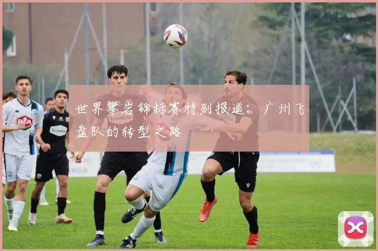 世界攀岩锦标赛特别报道：广州飞盘队的转型之路