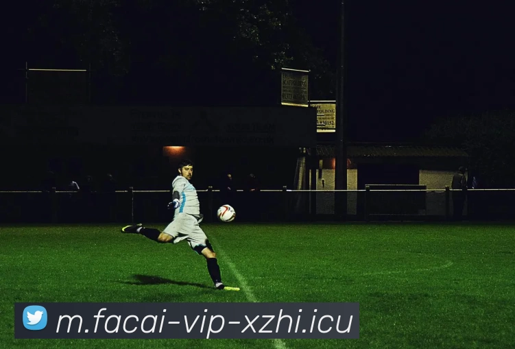 星空体育服务体系